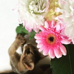 2020年4月スタート新規生徒募集のお知らせ